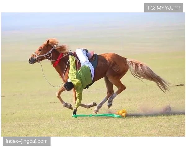 蹄铁传感器推动民族马术赛革新传统骑术管理模式